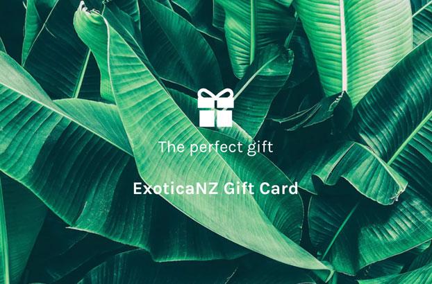 Exotica Gift Card