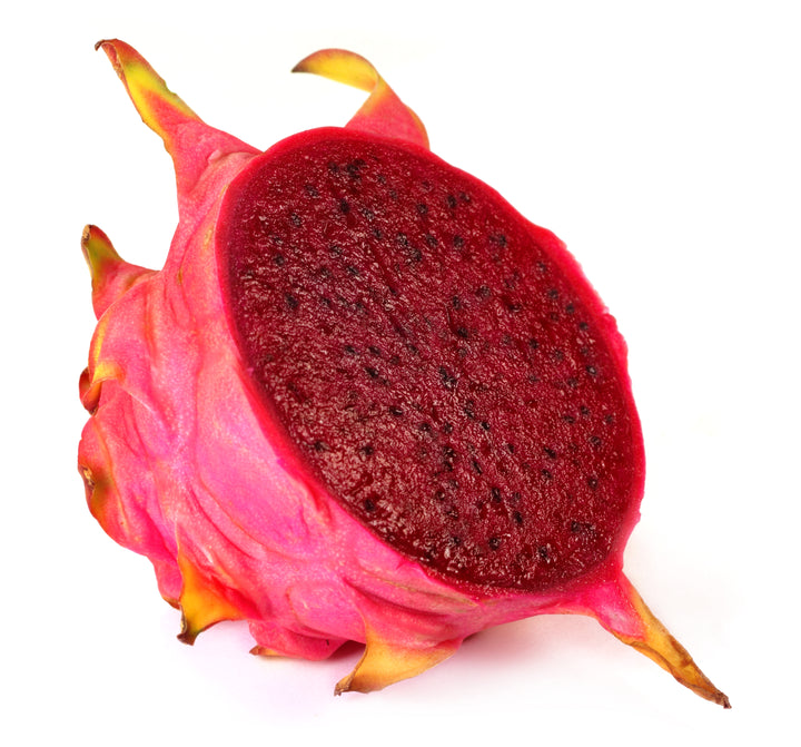Red Dragonfruit Magenta Flesh - Rooted in Pot
