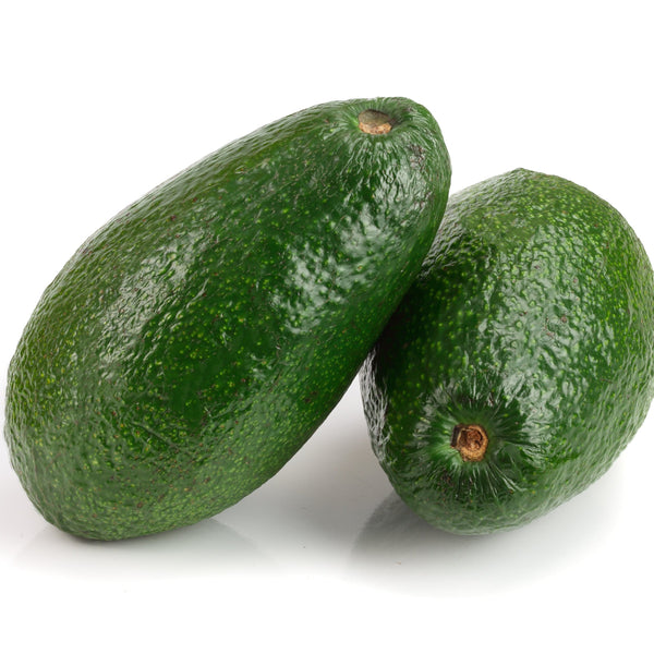 Sharwil Avocado - The Green Gold Of Avocados - Grafted - Exotica NZ