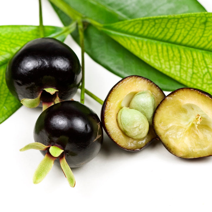 Grumichama - Brazilian Cherry