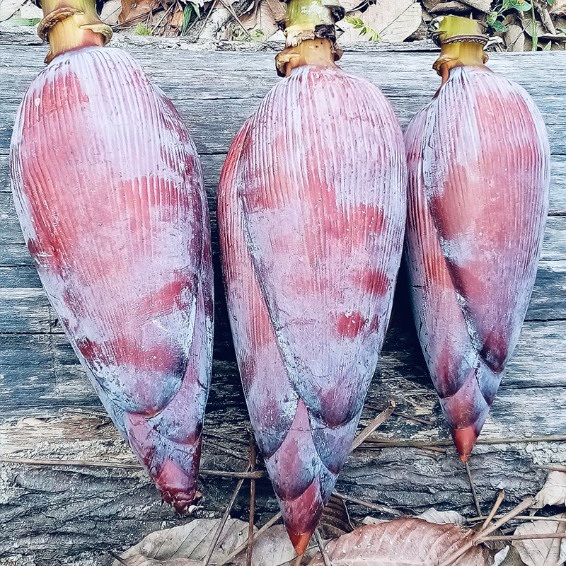 Fresh NZ Grown Banana Hearts