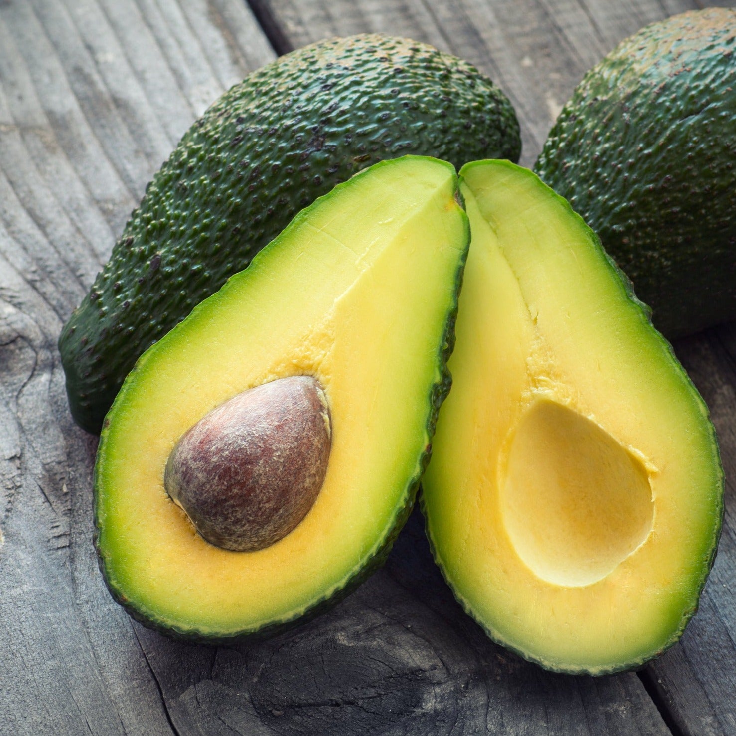 Sharwil Avocado - The Green Gold Of Avocados - Grafted – Exotica NZ