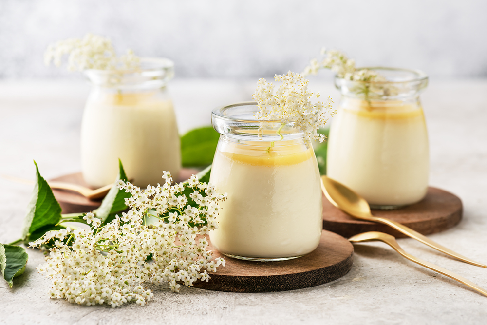 Papaya Panna Cotta Recipe