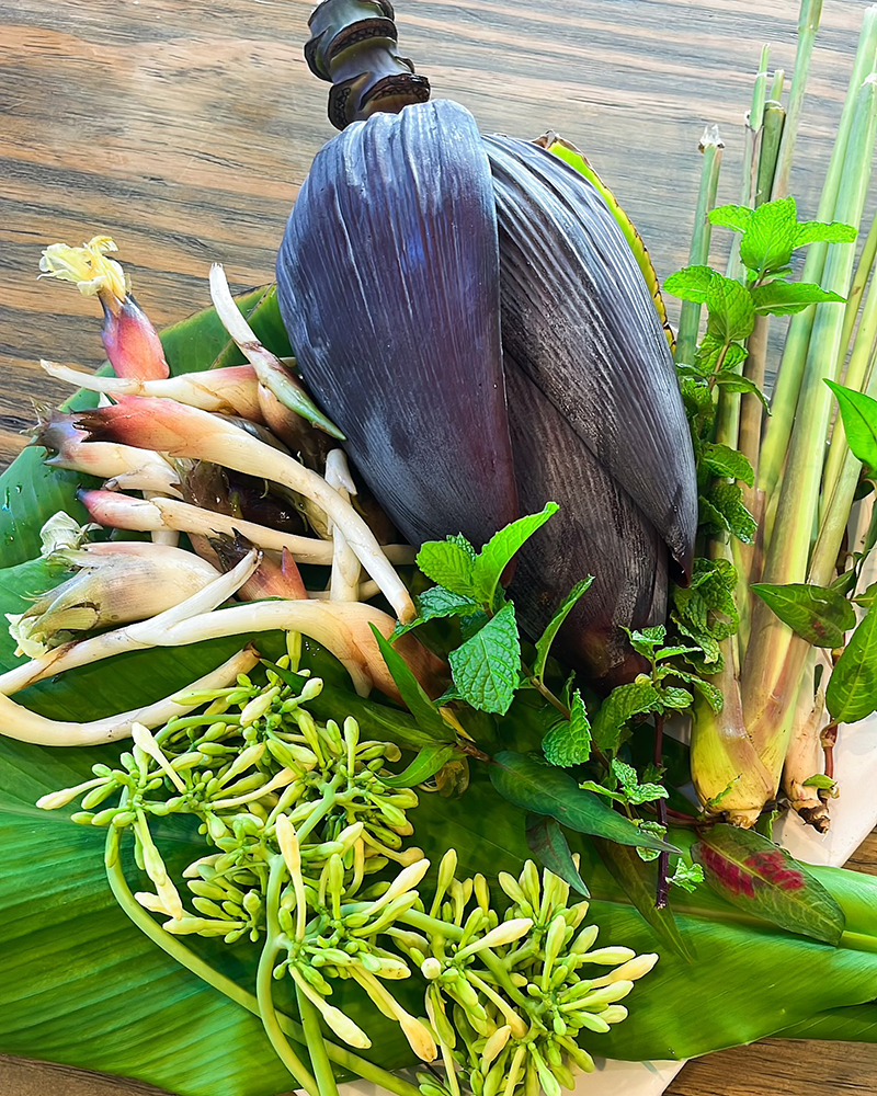 Exotica NZ Fresh Banana Blossom / Banana Heart