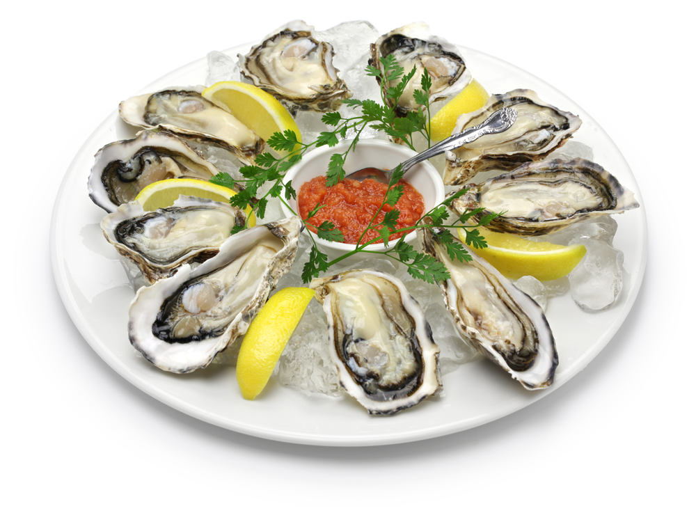 Exotica NZ Fresh NZ Pacific Oysters - 5 Dozen