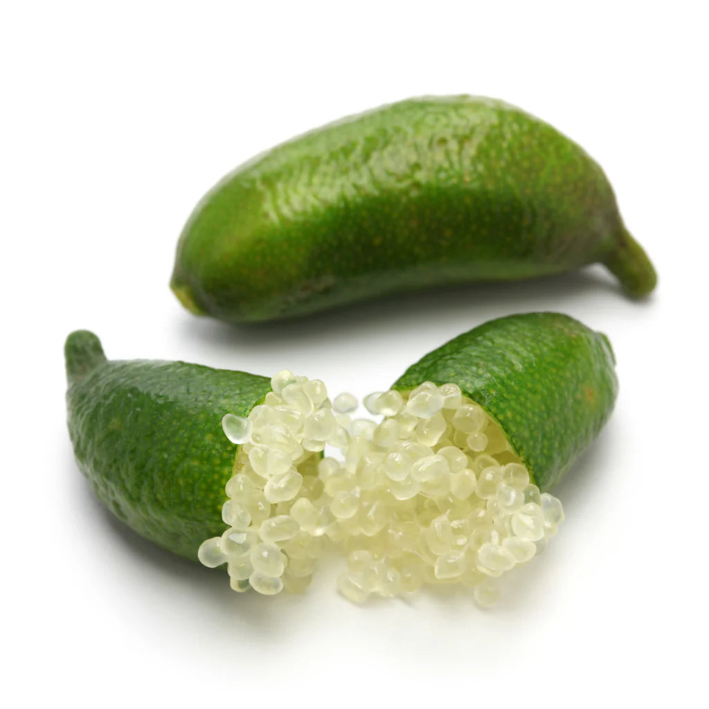 Fresh NZ Grown Finger Limes Citrus