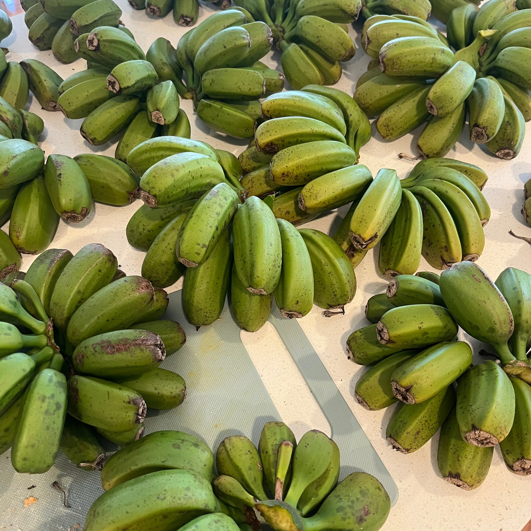 Fresh NZ Grown Plantain Banana