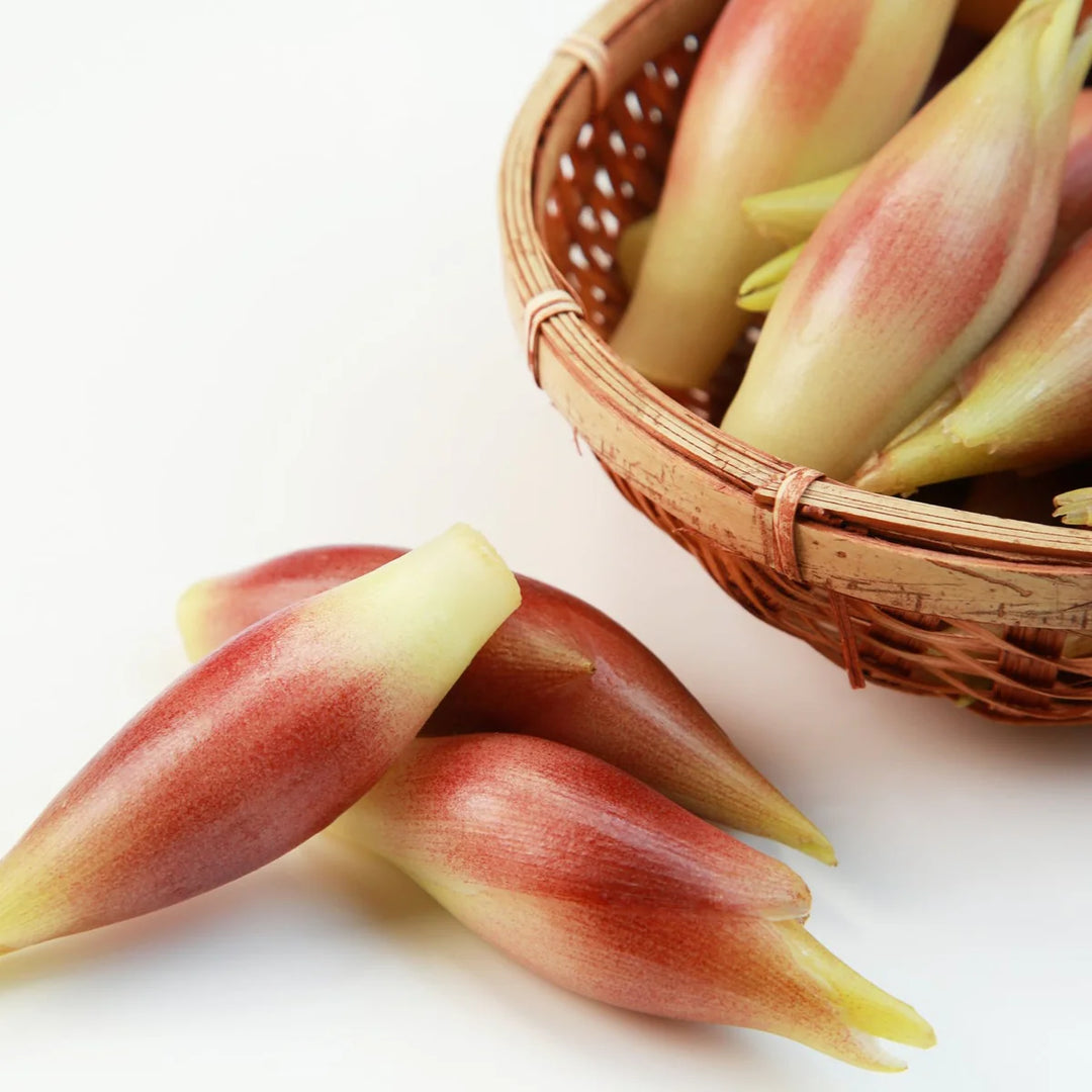 Fresh NZ Grown Myoga Ginger