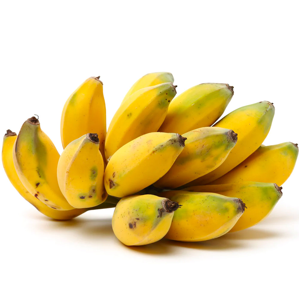 Exotica NZ Plants | Banana - Mysore