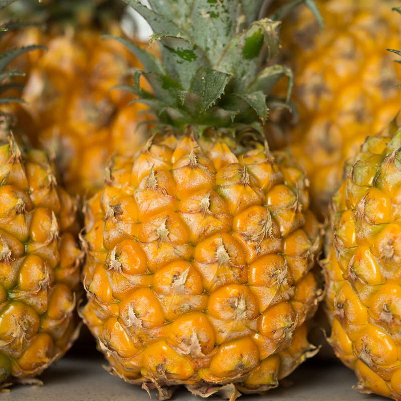 buy pineapple plants nz Exotica Fresh Produce