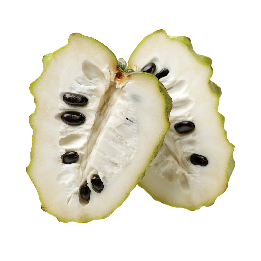 Bronceada Cherimoya - Grafted