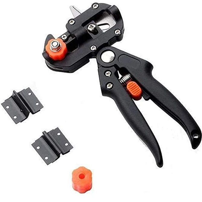 EasyGraft – Grafting and Pruning Tool