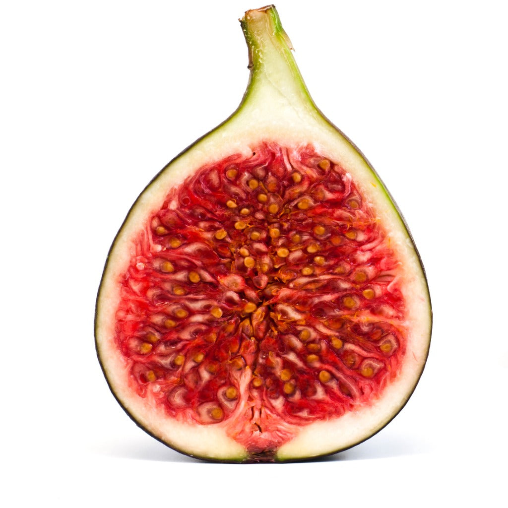 Mrs Williams Fig