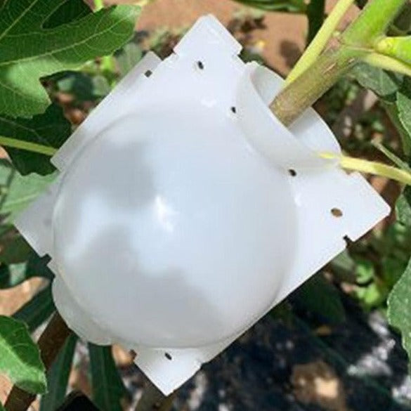 EasyMarcot - Plant Propagation Mould