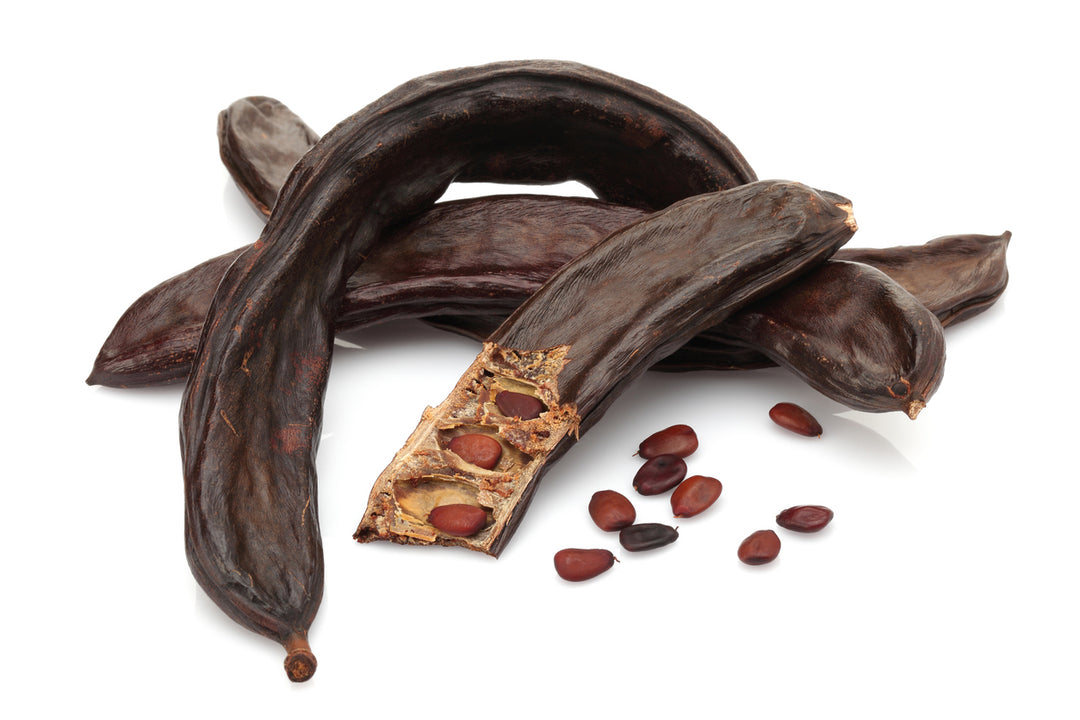 Carob Plant