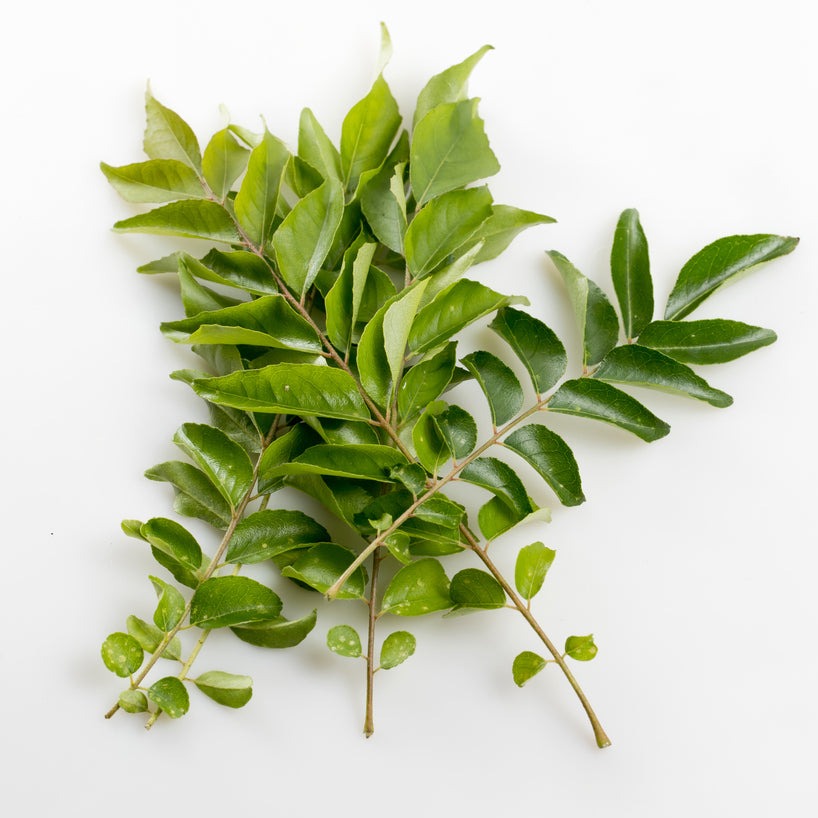 South African Curry Leaf
