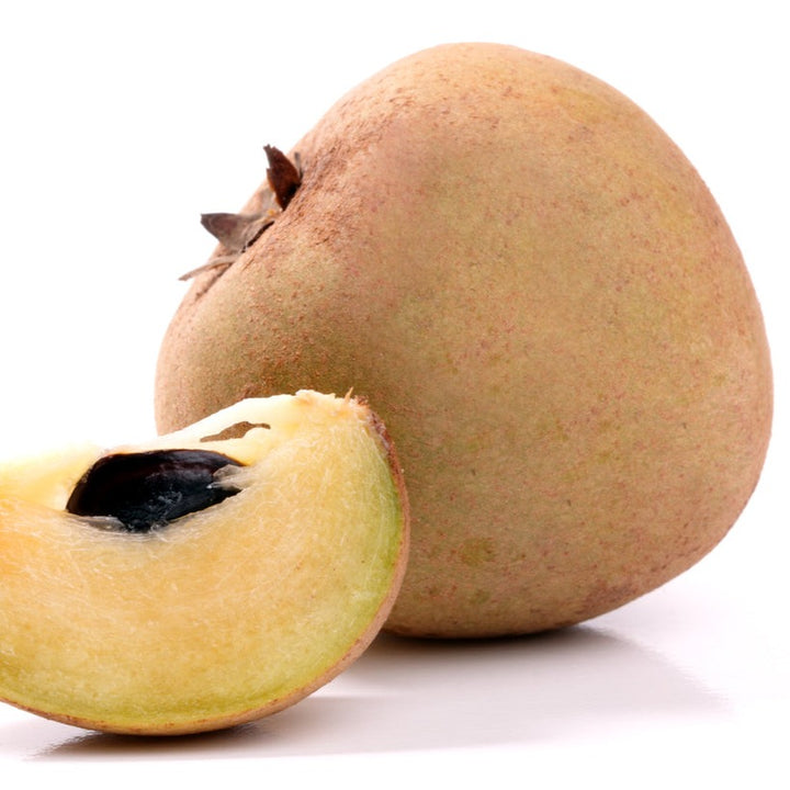 Sapodilla Mega Plant