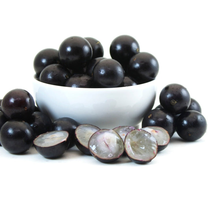 Jaboticaba - Curly Leaves