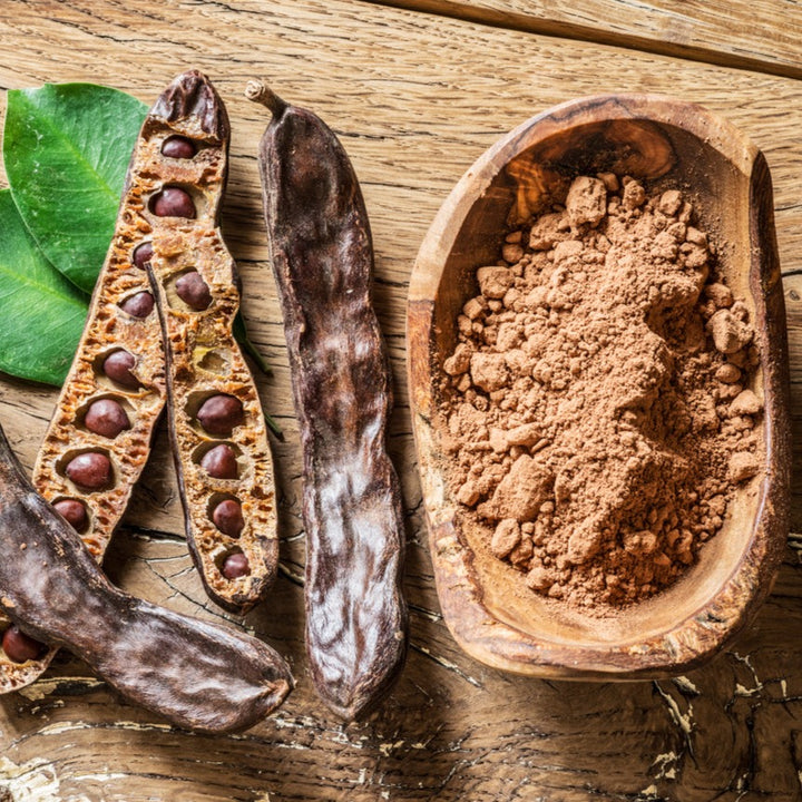 Carob Plant
