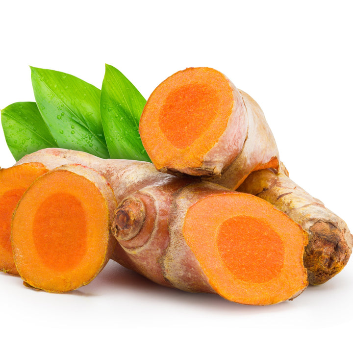 Asian Tumeric Plant