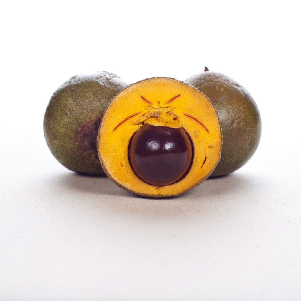 Lucuma Obovata