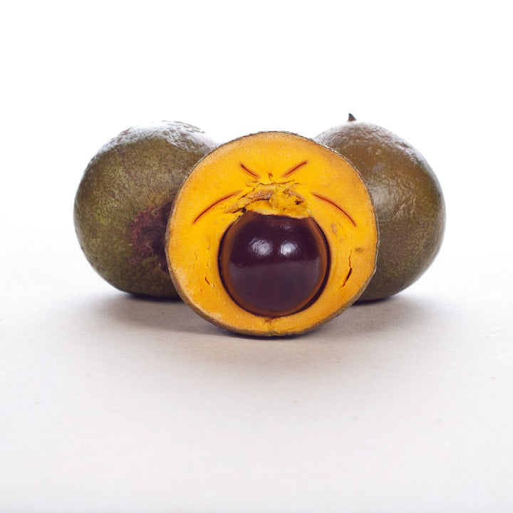 Lucuma Obovata