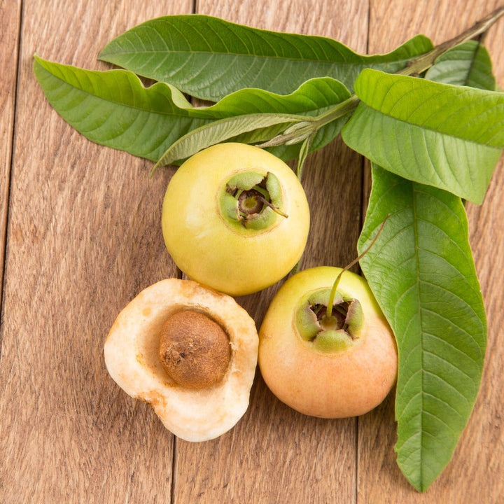 Rose Apple