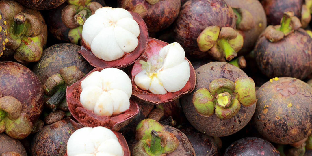 Summer Travel Tips: How to Choose the Perfect Mangosteen