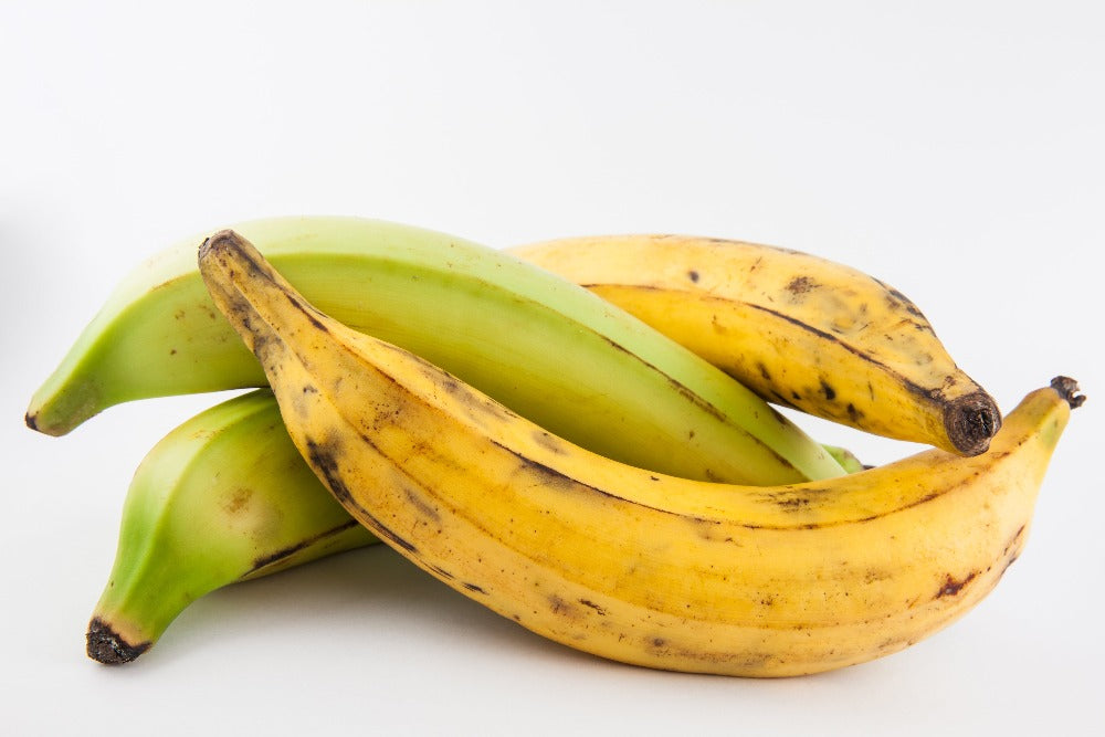 Orinoco - Banana Plantain Great For Cooking Media 1 of 3