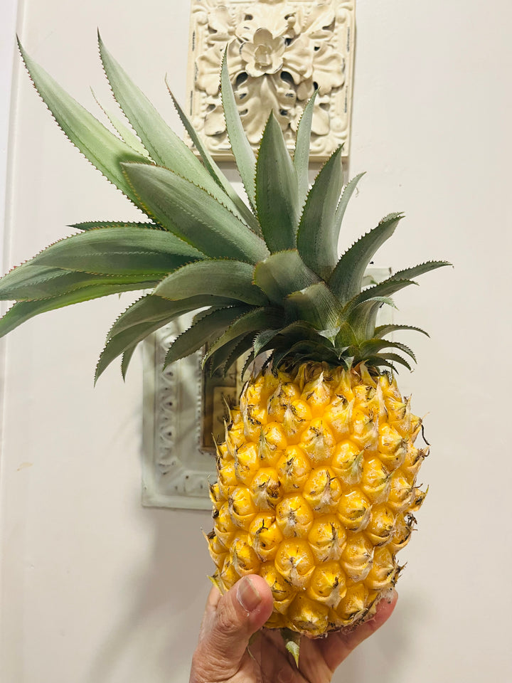 Fresh NZ Grown Queen Pineapple with Crown