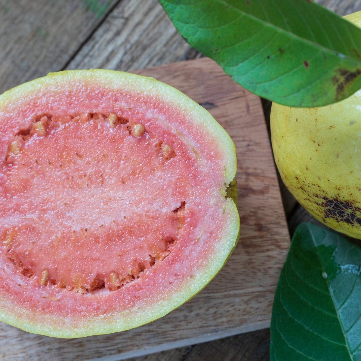 Taiwan Pink Guava - Large and Delicious fruit