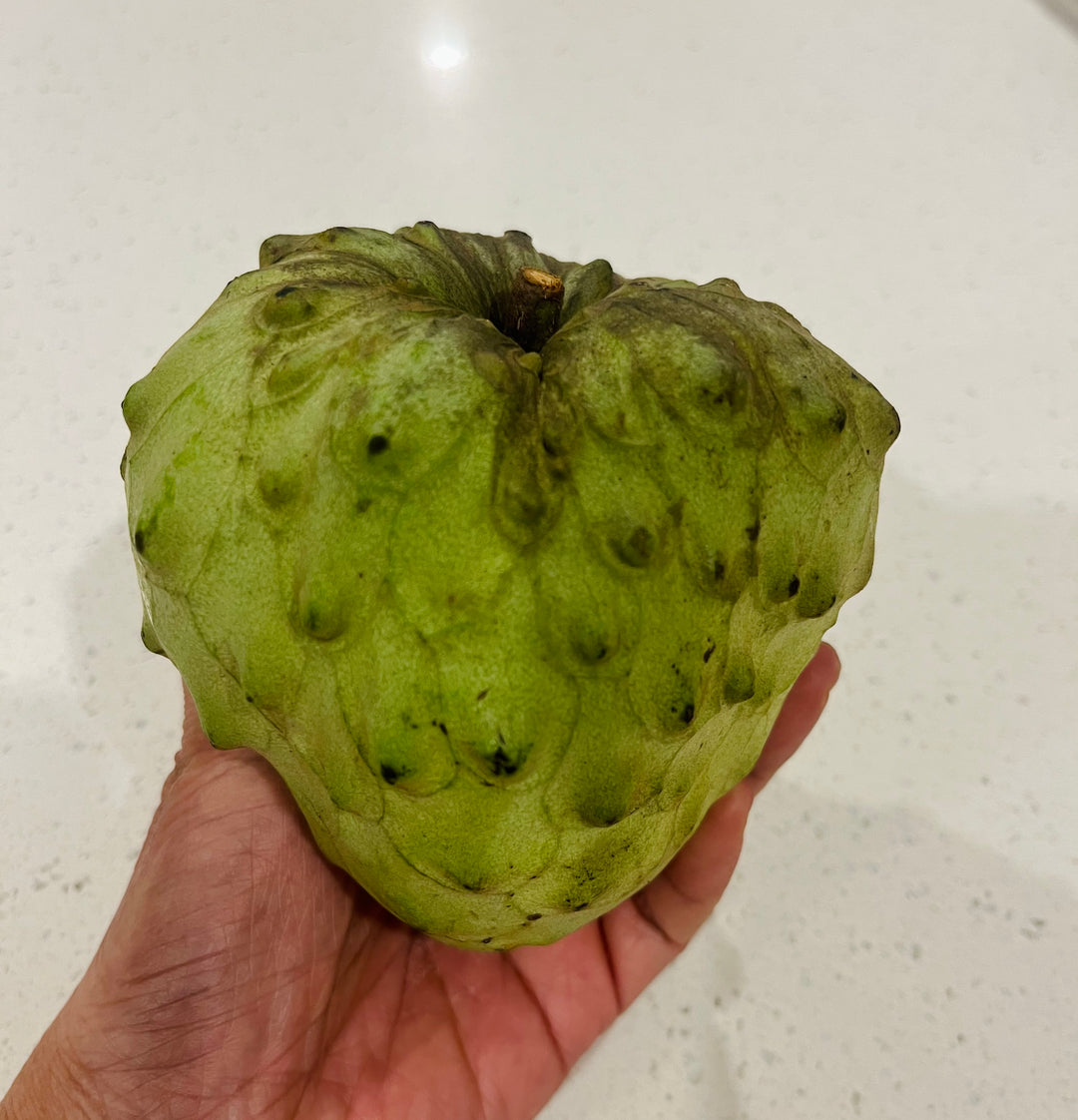 Fresh NZ Grown Cherimoya
