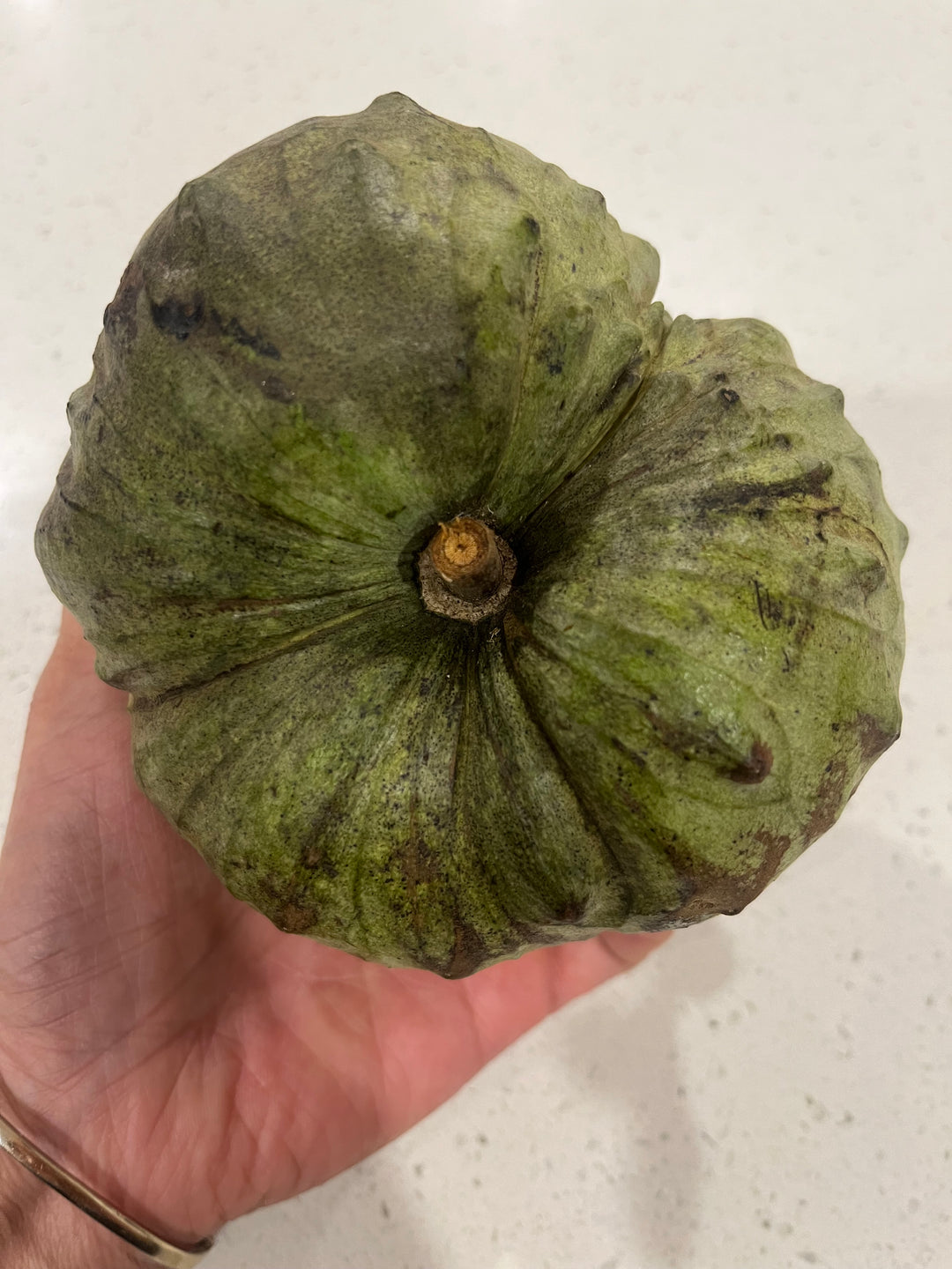 Fresh NZ Grown Cherimoya
