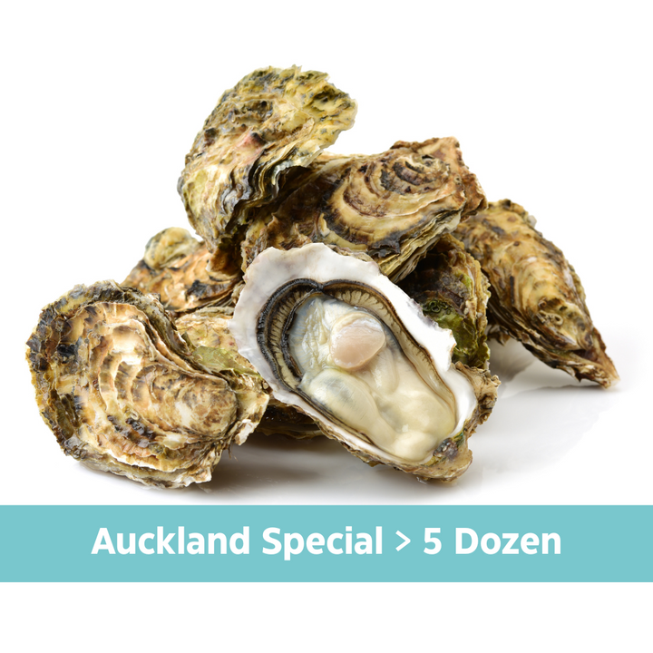 Auckland Deal - Fresh NZ Pacific Oysters - 5 Dozen