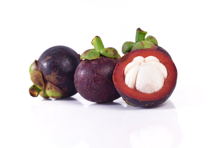 Freeze Dried Mesta Mangosteen Snack Pack 15g