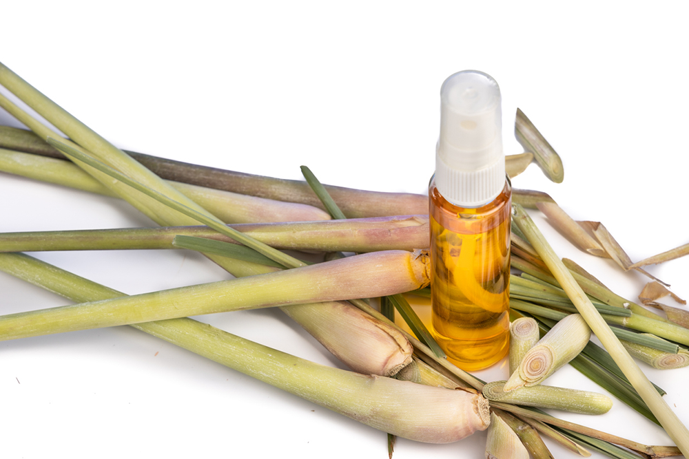 Lemongrass Insect Repellent