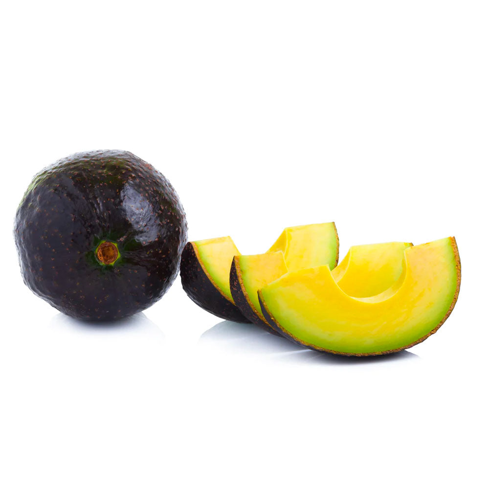 Hopkins Avocado - Grafted and Exclusively Rare Black Avocado