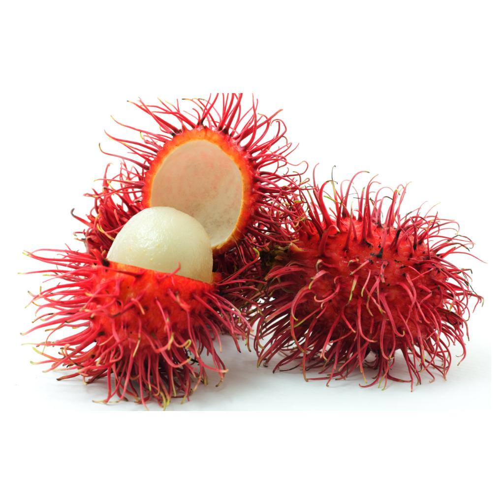 Freeze Dried N18 Rambutan Snack Pack 15g