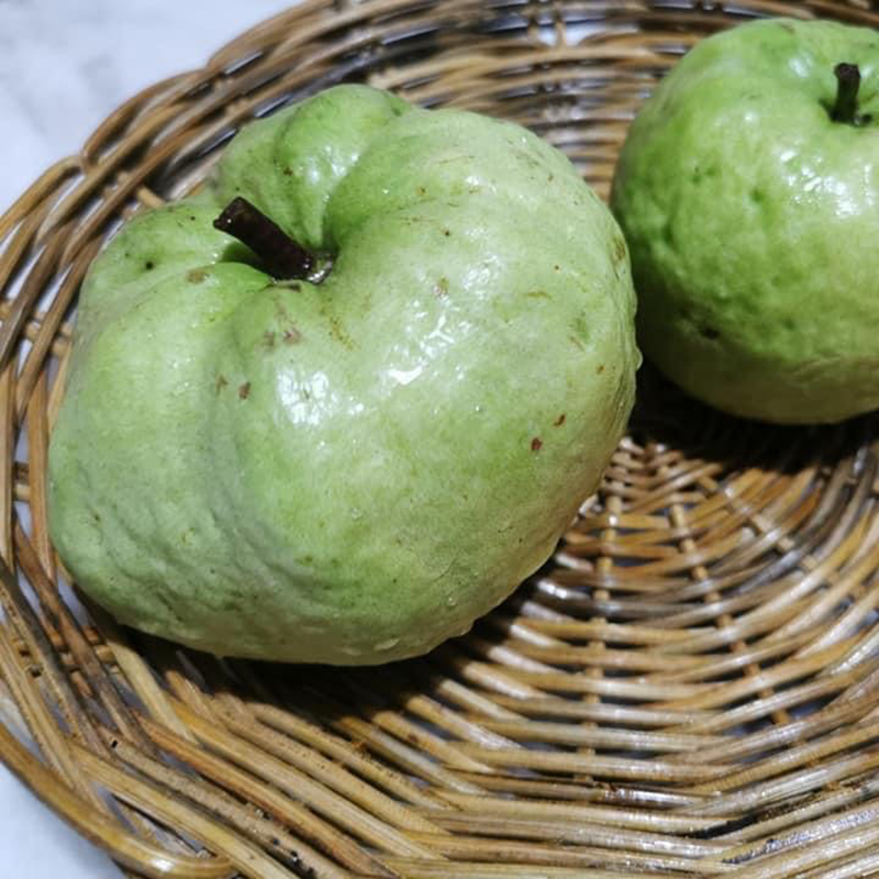 Fresh NZ Grown Arka Kiran L46 Guava