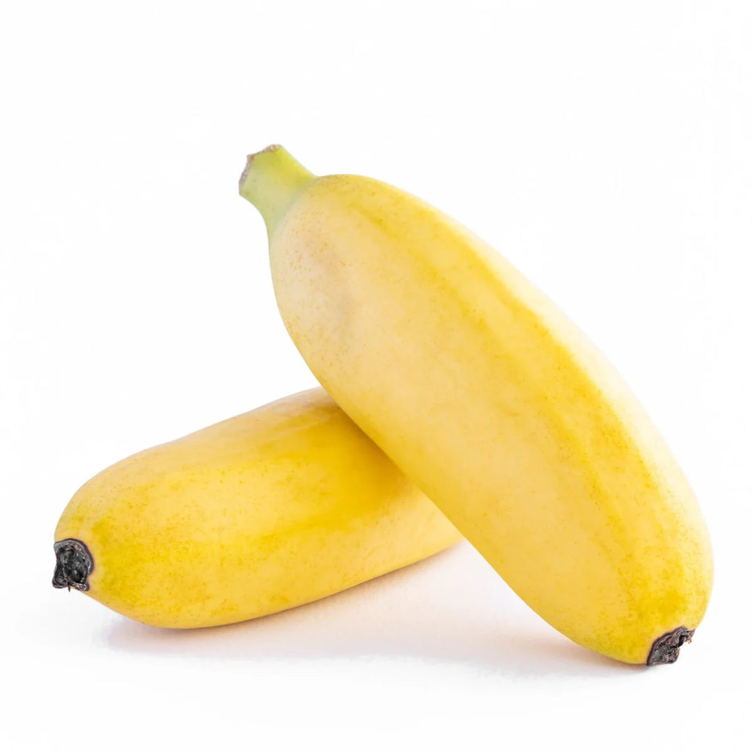 Fresh NZ Grown Mona Lisa Banana