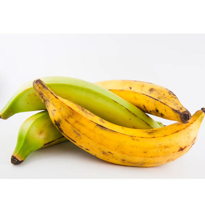 Orinoco - Banana Plantain Great For Cooking 
