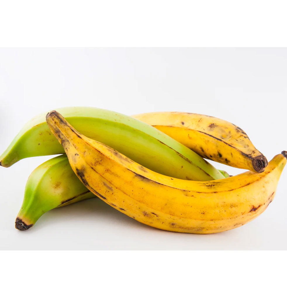 Orinoco - Banana Plantain Great For Cooking 