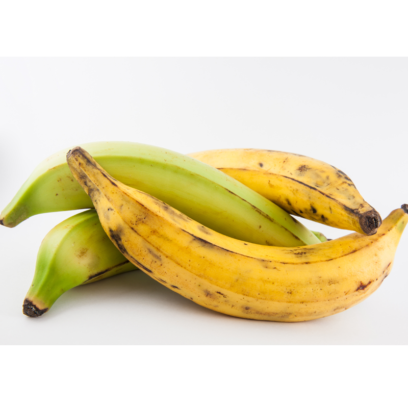 Fresh NZ Grown Plantain Banana