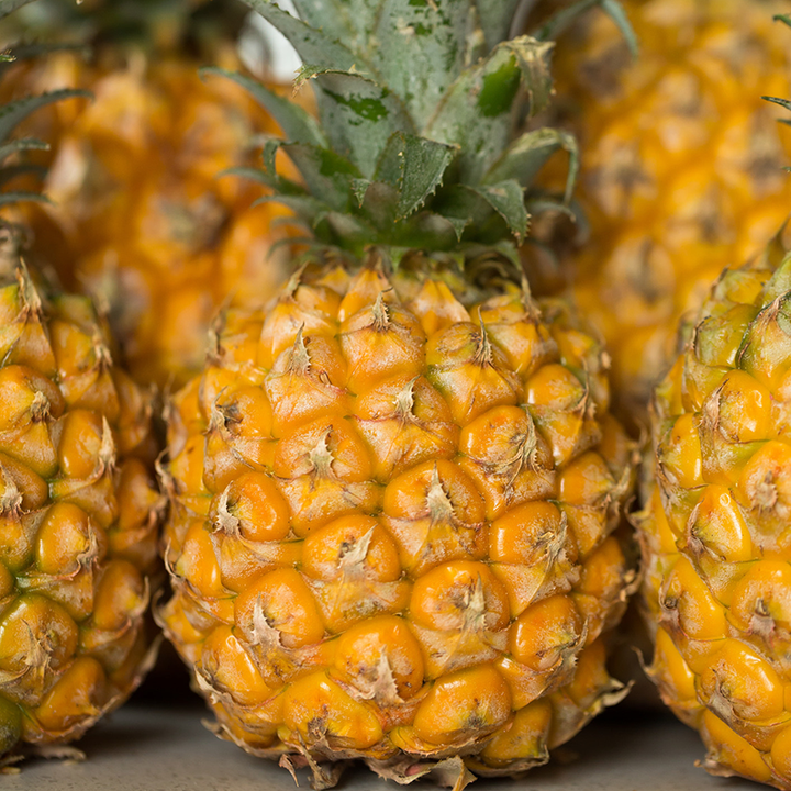 Fresh NZ Grown Queen Pineapple