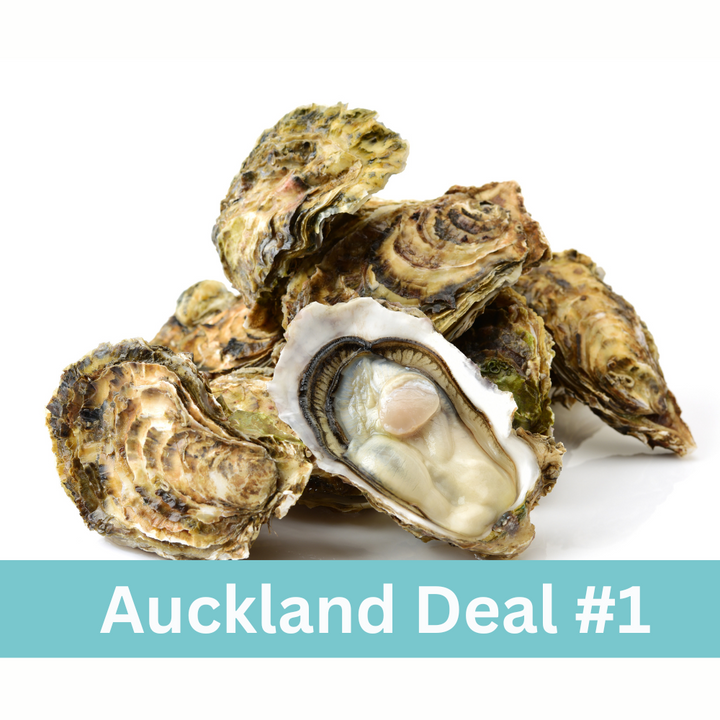 Auckland Oyster Deal (Ten Dozen) + free delivery