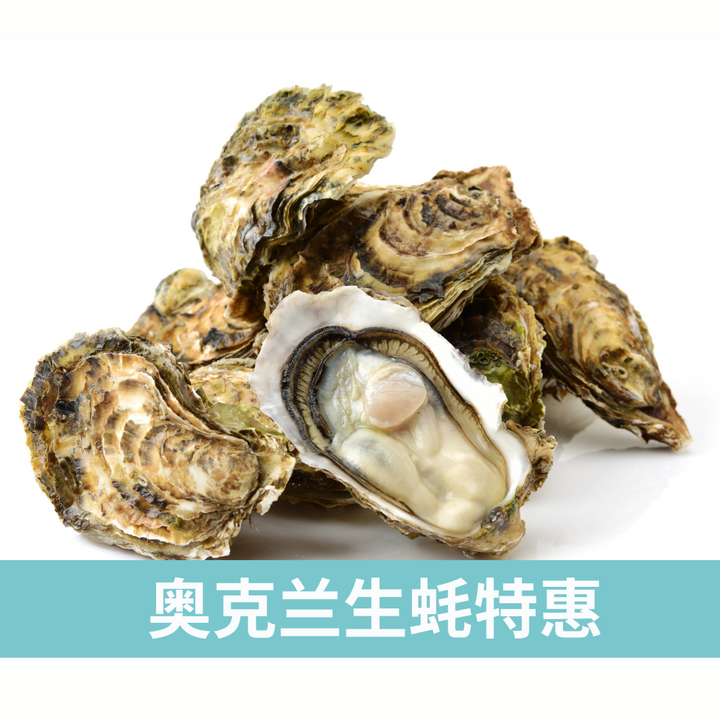 奥克兰生蚝特惠（十打）免费送货