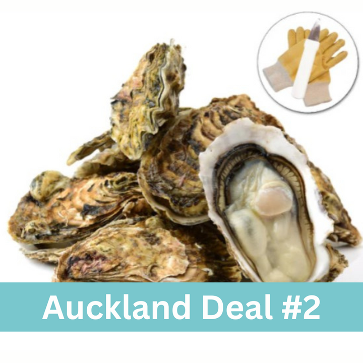 Auckland Oyster Deal (Ten Dozen) + Oyster Knife + Oyster Gloves + free delivery