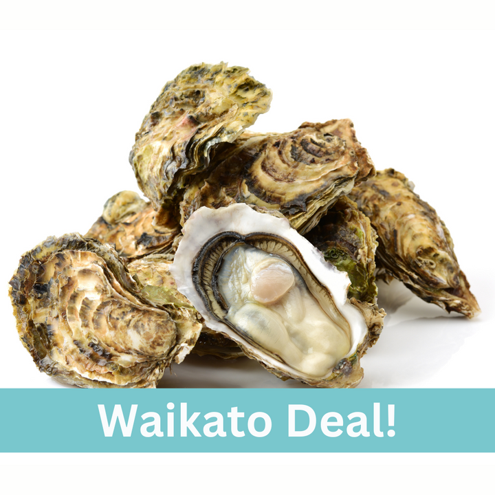 Waikato Special - Fresh NZ Pacific Oysters - 5 Dozen