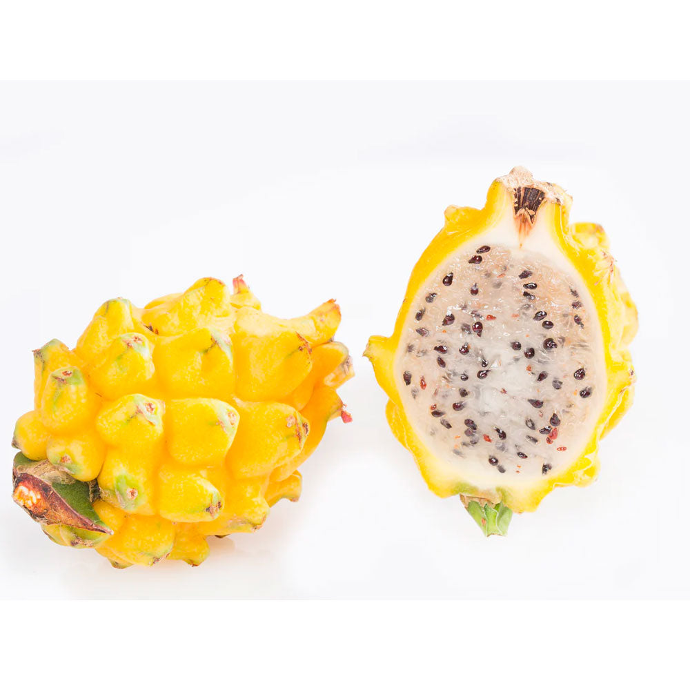 Yellow Dragonfruit - Megalanthus