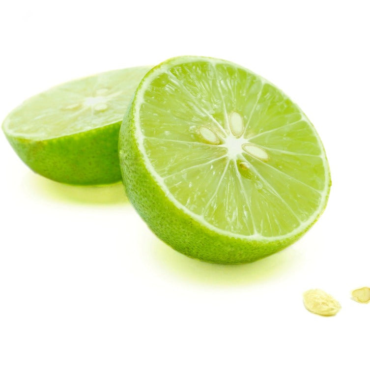 Key Lime Plants